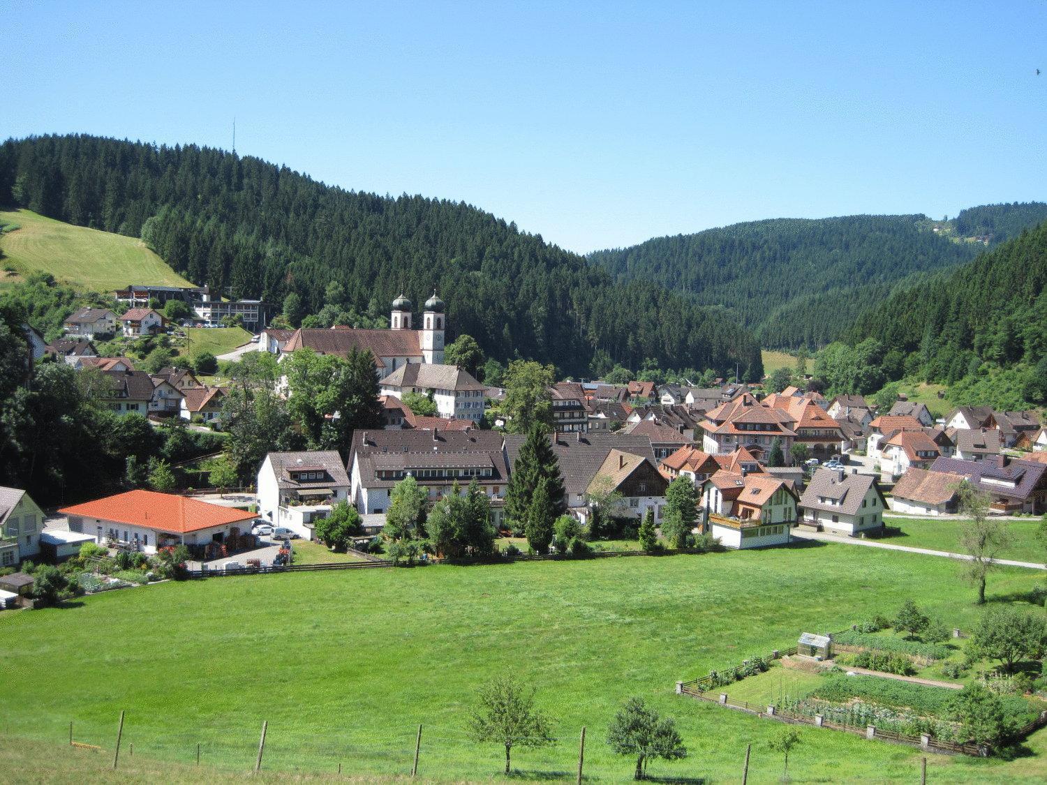 Hotel Restaurant Albans Sonne Bad Rippoldsau-Schapbach Exteriör bild