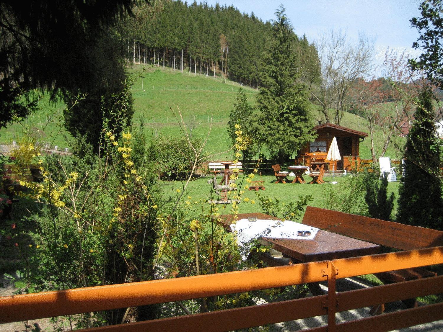 Hotel Restaurant Albans Sonne Bad Rippoldsau-Schapbach Exteriör bild
